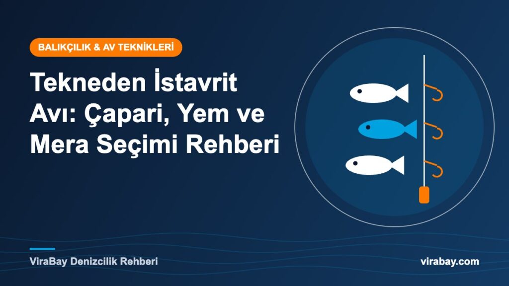 Tekneden istavrit avı için çapari ve olta takımı - ViraBay rehber kapak görseli